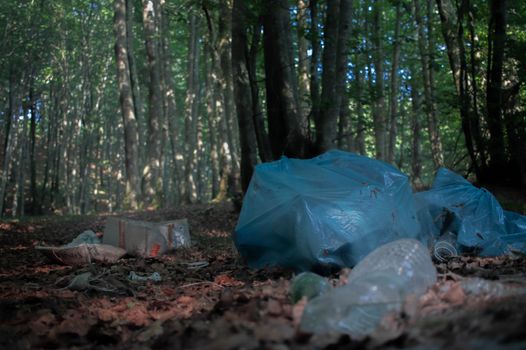 Plastic and litter in a forest, highlighting environmental pollution in Fagnano Castello, Italy.