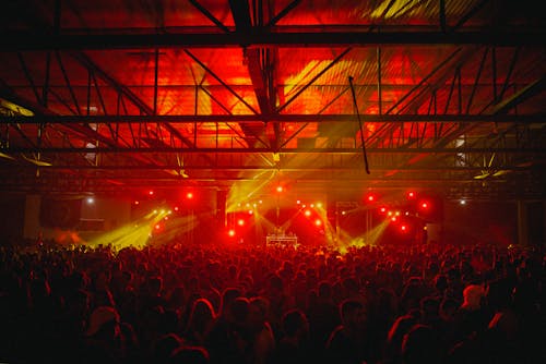 People Watching Concert during in the Club