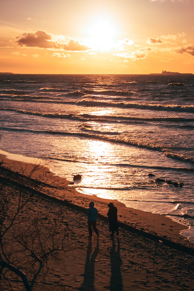 Silhouette Of 2 Person Walking On Seashore During Sunset