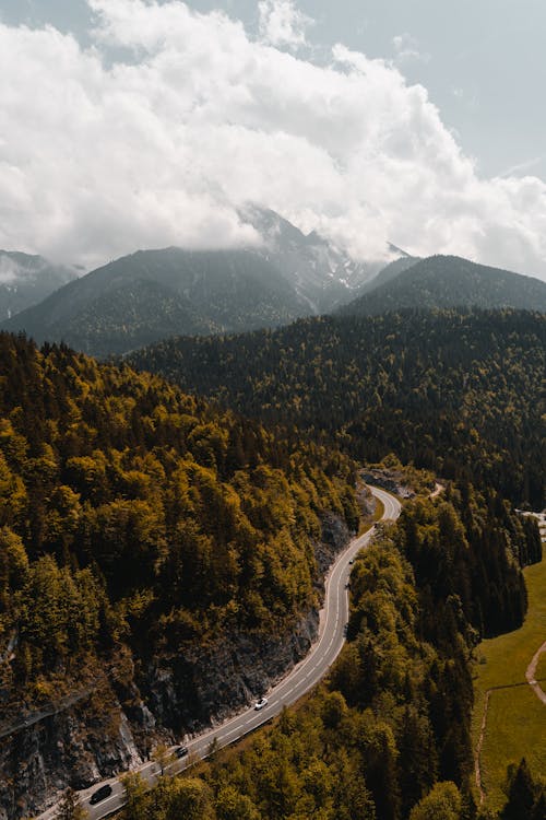 Aerial Shot of a Curvy Road Surrounded by Green Trees on a Mountain