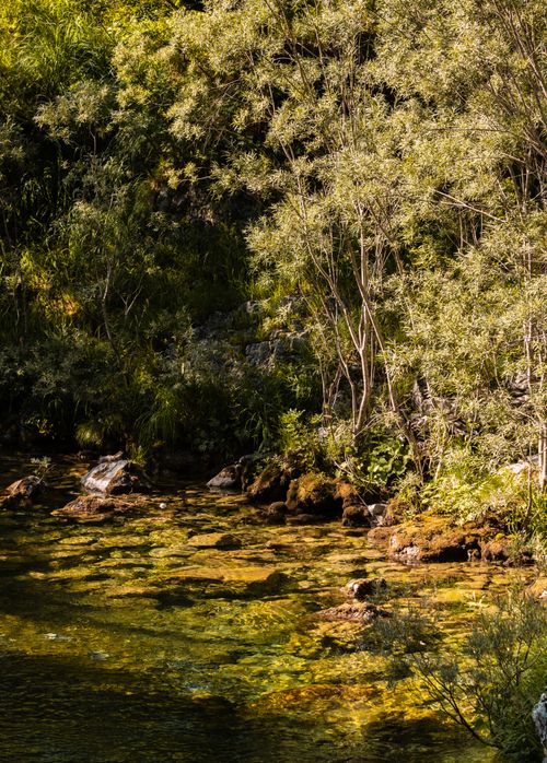 Free A serene sunlit forest stream in Theth, Albania, showcasing lush greenery and clear waters. Stock Photo
