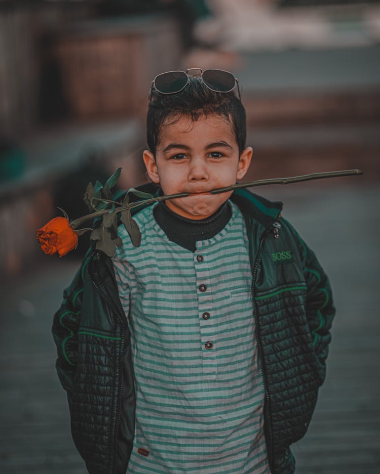 A Boy Biting A Rose 