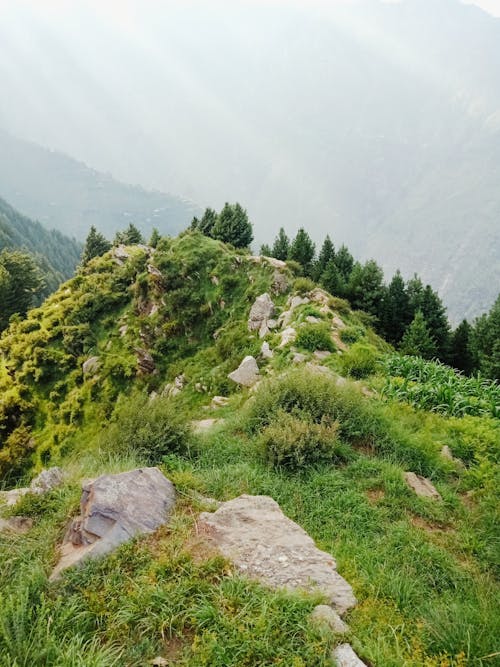 A Rocky Grass Field