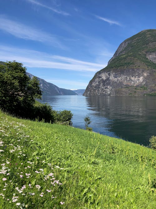 Gratis arkivbilde med fjord