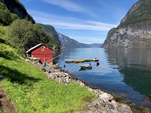 Foto stok gratis fjord