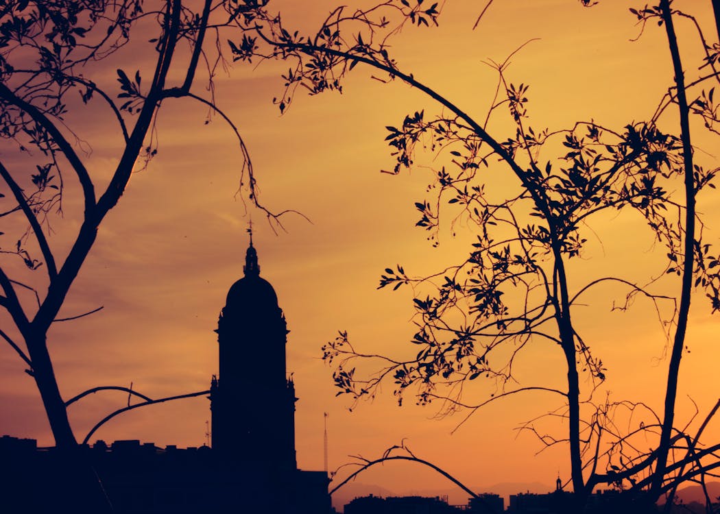 Silhouette of Tree Branches Near a Cathedral Under Orange Sky