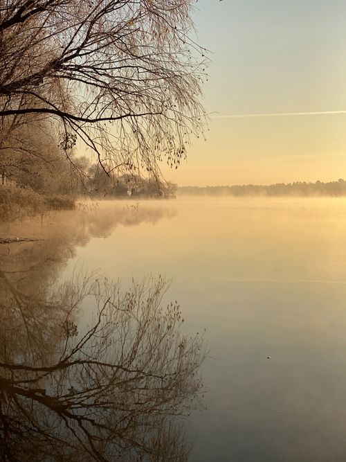 Free Leafless trees reflect on a tranquil lake in Kyiv, Ukraine at golden hour, showcasing natural beauty. Stock Photo