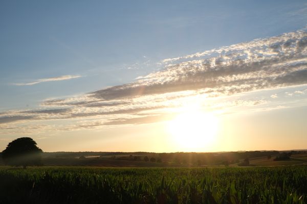 Vallée vermeil