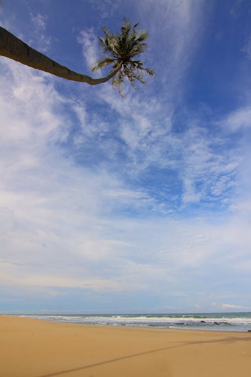 Základová fotografie zdarma na téma cestování, denní světlo, horizont