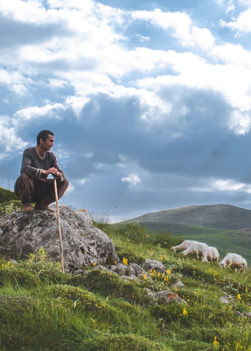 Man Sitting on Rock Surrounded by Grass 