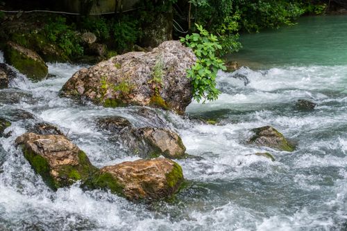Free Peaceful stream flowing over mossy rocks in a lush green setting, ideal for nature relaxation themes. Stock Photo