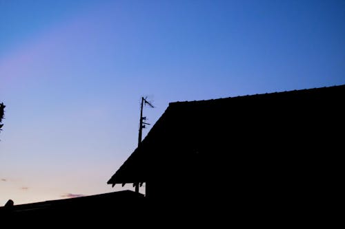 그림자, 블루, 새벽의 무료 스톡 사진
