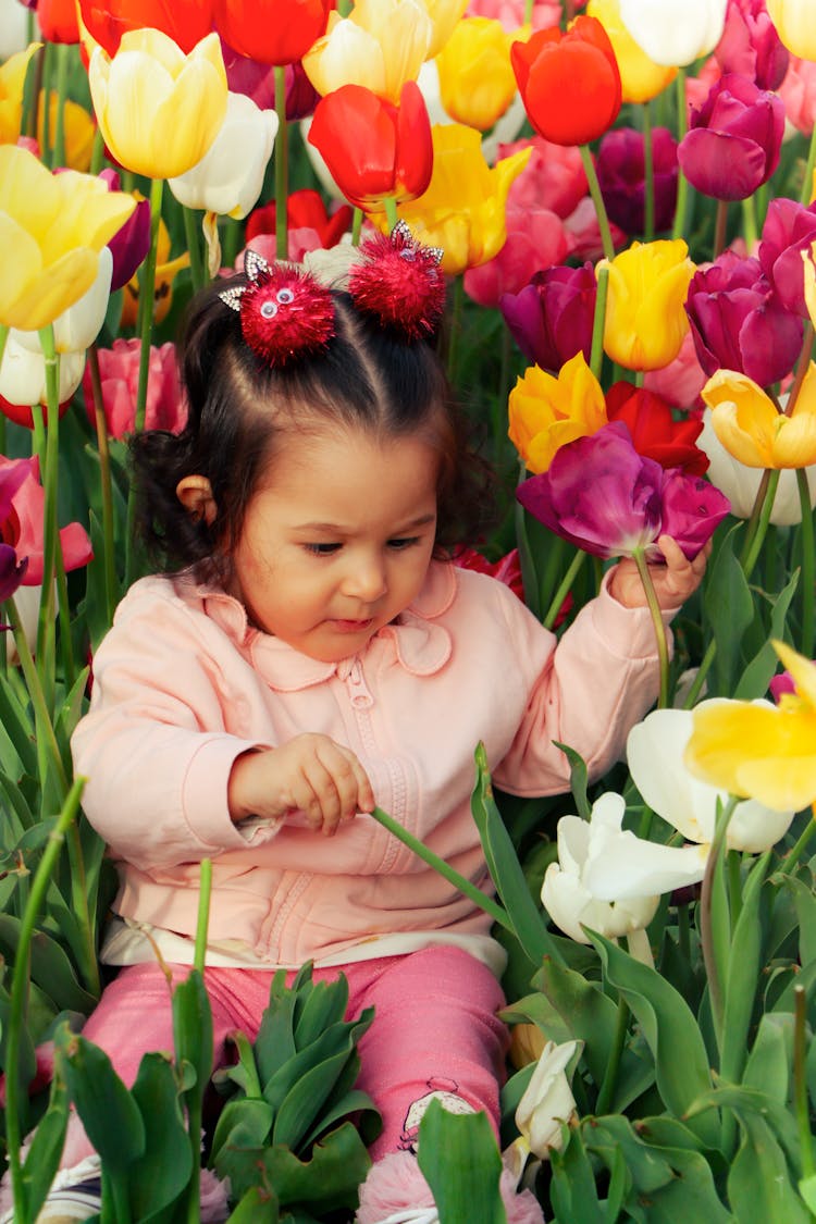 A Baby Girl Sitting On The Garden Tulips