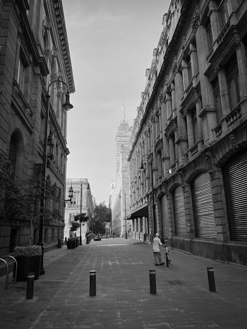 Foto d'estoc gratuïta de arquitectura, blanc i negre, caminant