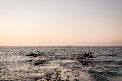 Foto profissional grátis de à beira-mar, alvorecer, beira-mar