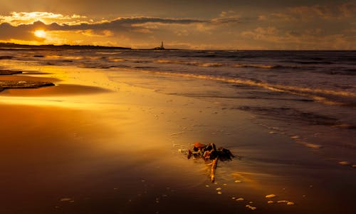 Gratis lagerfoto af hav, morgengry, solnedgang