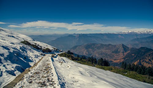 Campo Cubierto De Nieve