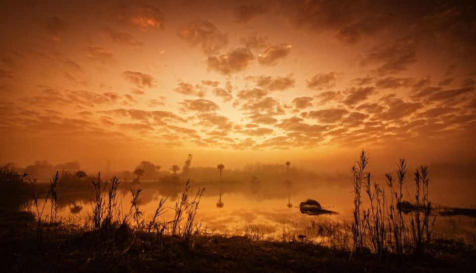 A golden sunrise over calm water, the fresh start that sober living homes are meant to support