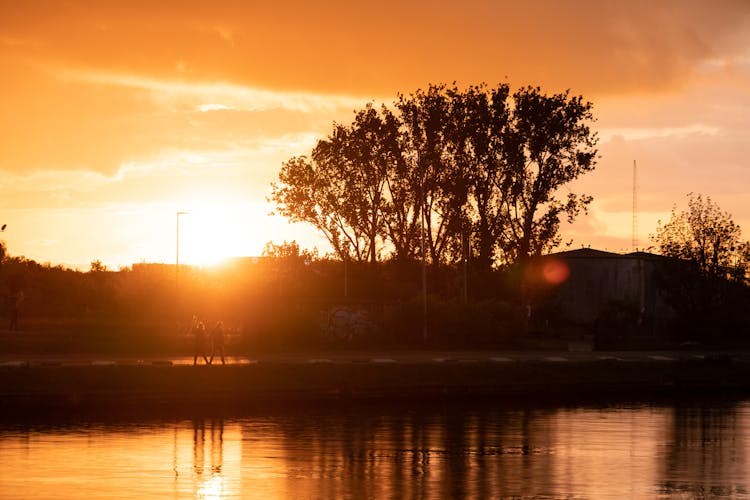 Lake And Tree Landscape At Sunset