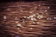 Close-up view of an ant navigating sugar crystals on a woven wicker texture.