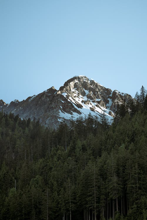 Gratis lagerfoto af bjerg, fugleperspektiv, grøn