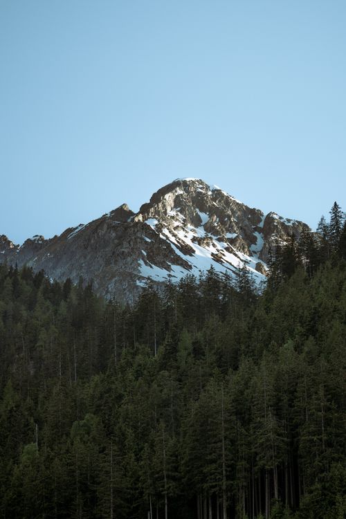 Free A stunning aerial view of a snow-capped mountain surrounded by dense evergreen forests. Stock Photo