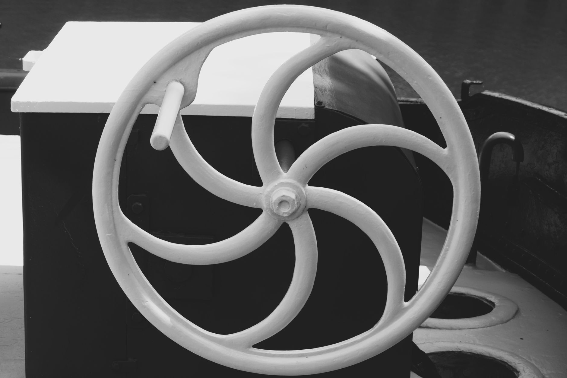 Best Hamster Wheel (2026)