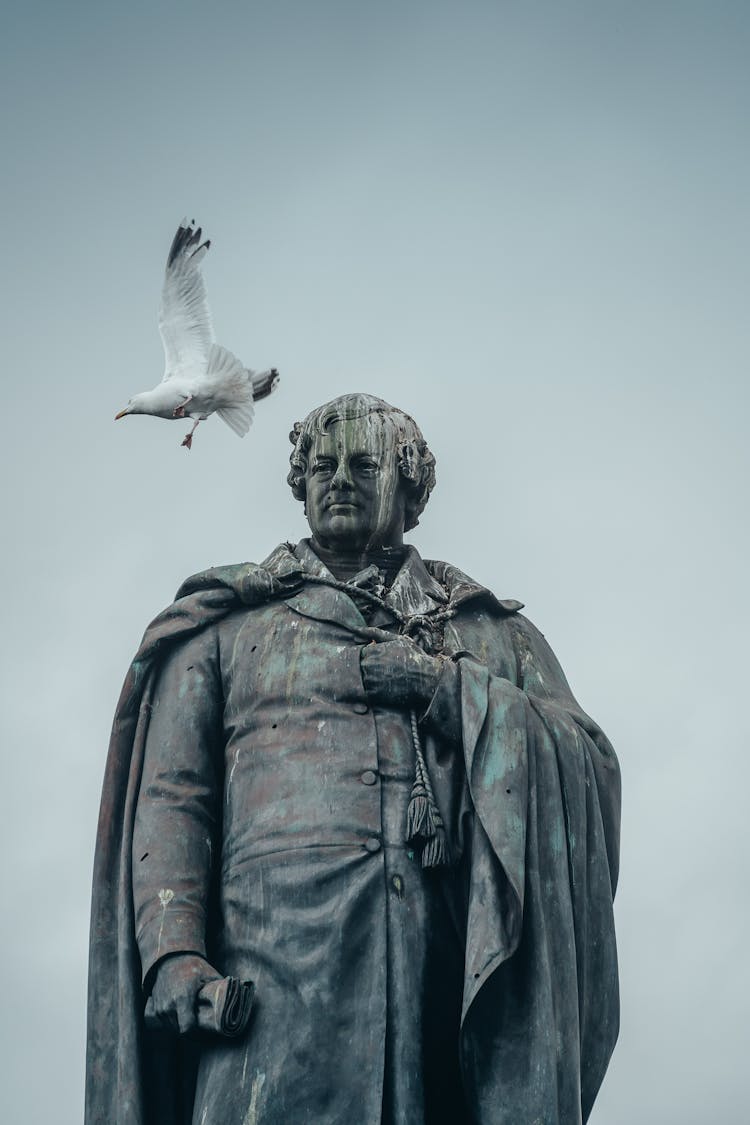 A Seagull Flying Near Daniel O'Connell Monument