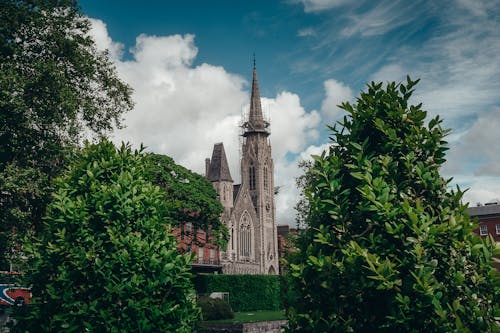 Foto stok gratis Arsitektur, Daun-daun, dublin