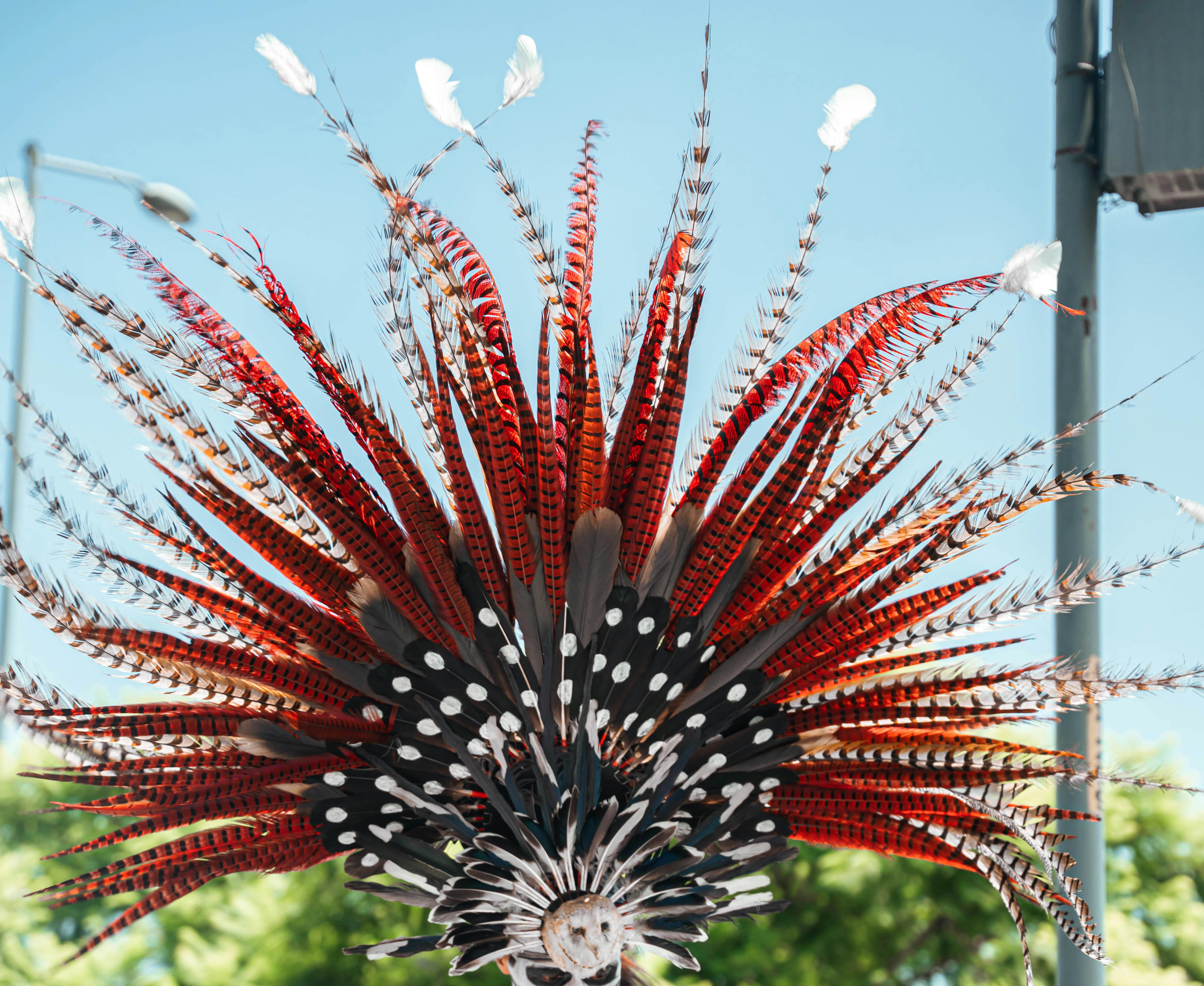 Person in Traditional Aztec Wear and Face Paint · Free Stock Photo