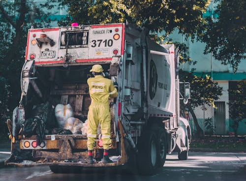 Ingyenes stockfotó áll, dolgozó, dustcart témában