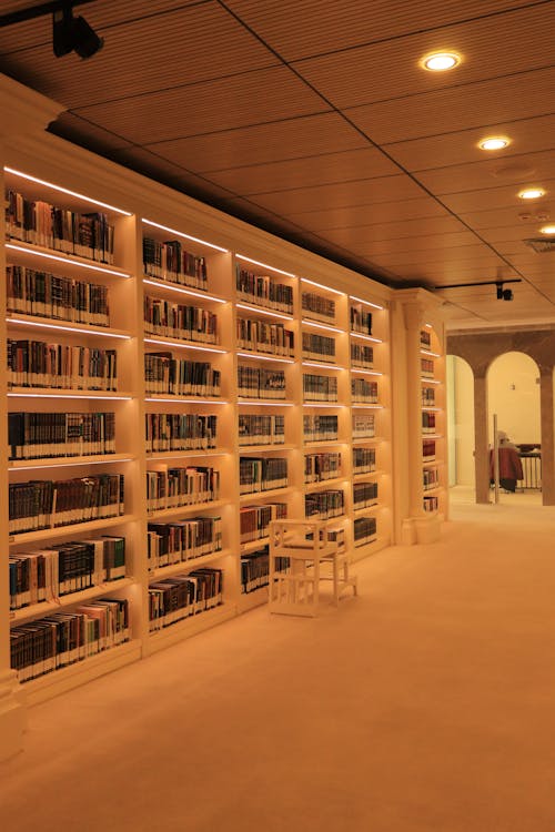 бесплатная Бесплатное стоковое фото с библиотека, в помещении, вертикальный выстрел Стоковое фото