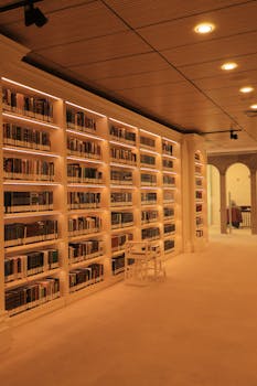image.mefiz.com
