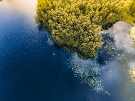 立陶宛普朗格诺夫一片郁郁葱葱的森林与宁静的湖泊相邻，鸟瞰图令人惊叹，凸显了大自然的美丽