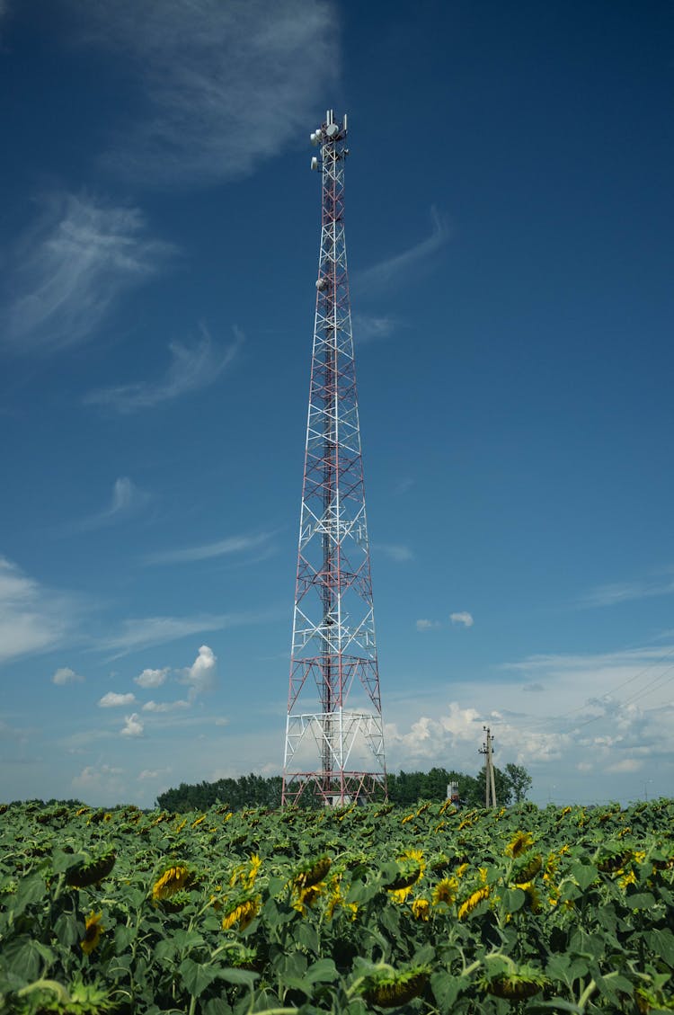 A Cell Tower In The Countryside