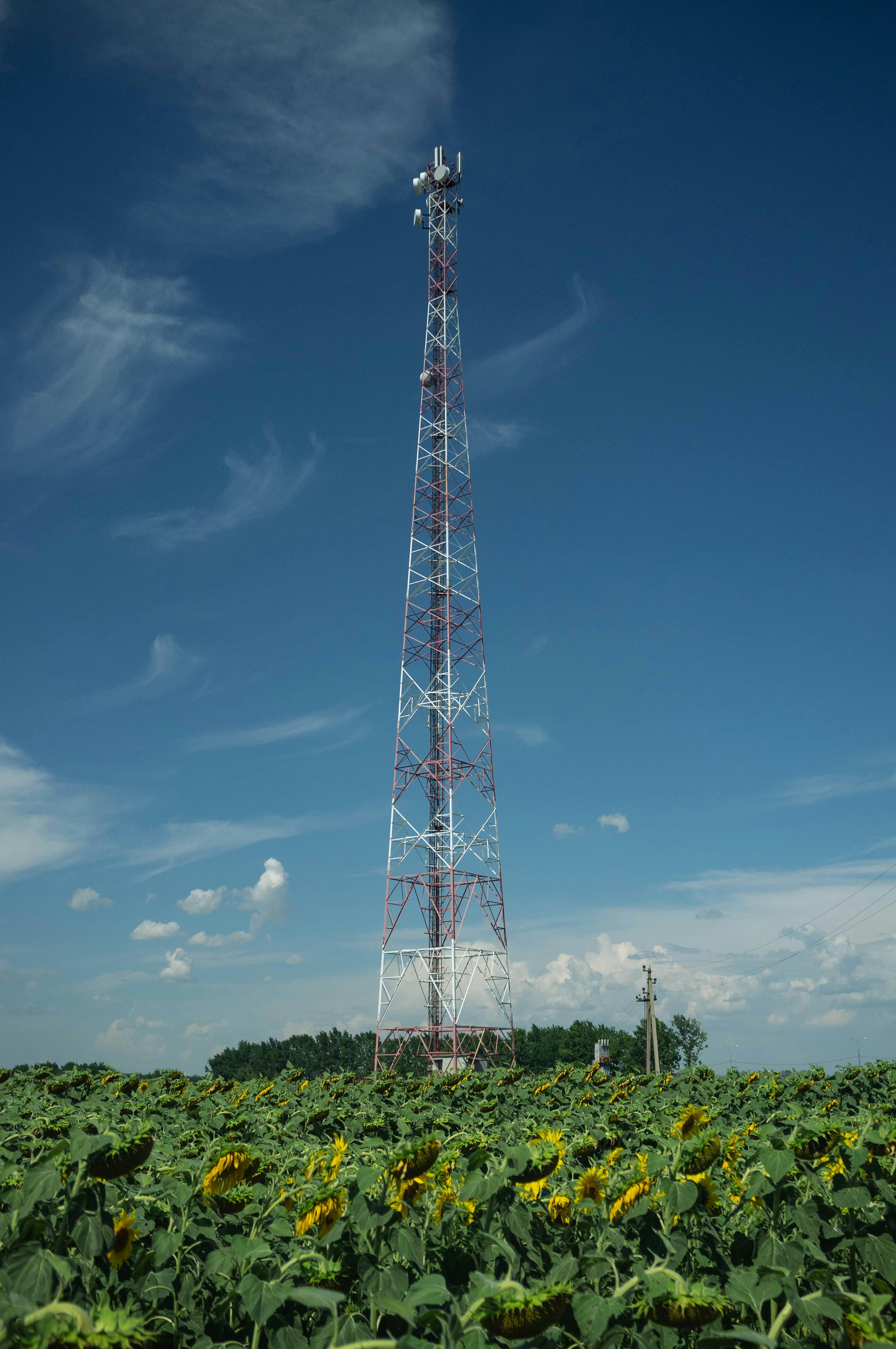A cell tower in the countryside free stock photo