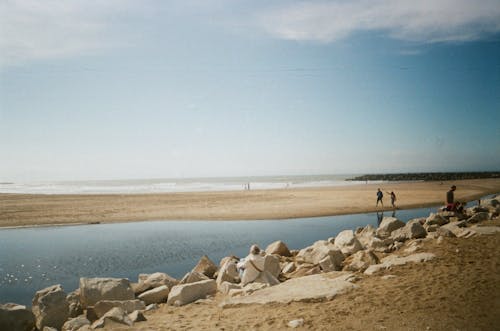 Fotobanka s bezplatnými fotkami na tému biely piesok, breh, chôdza