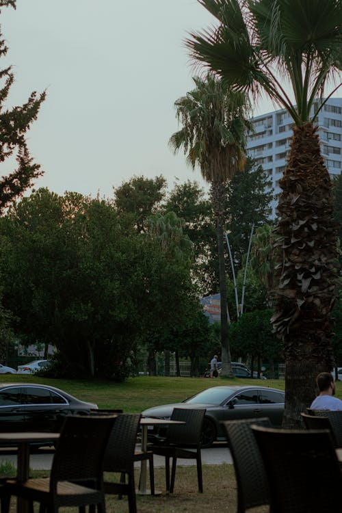 Free stock photo of evening sun, street, the city