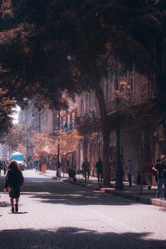 Vibrant city street with people walking under large trees creating dynamic shadows.