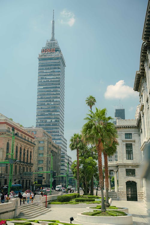 Buildings in a City