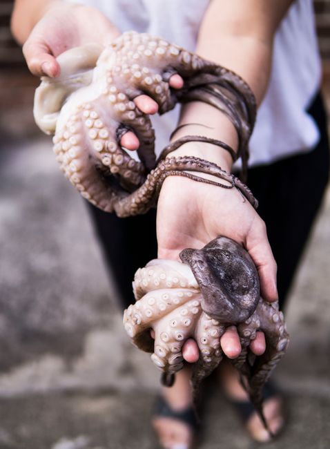 Close-up of hands holding a fresh octopus at a Sydney market. Perfect for seafood and culinary themes.