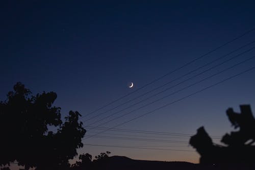 Fotos de stock gratuitas de arboles, cielo azul, Luna creciente