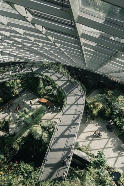 Discover the stunning architecture and lush greenery of Singapore's indoor gardens.