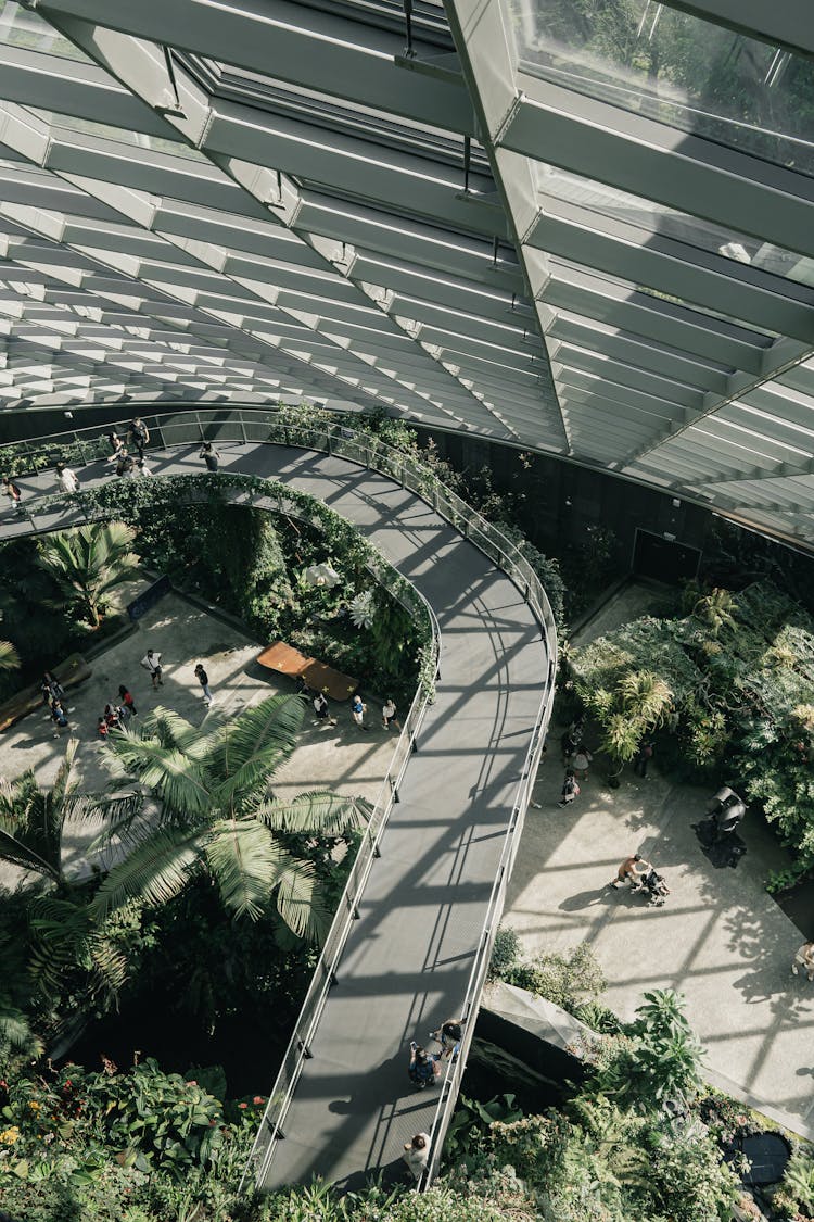 Aerial View Of Bride Inside The Building