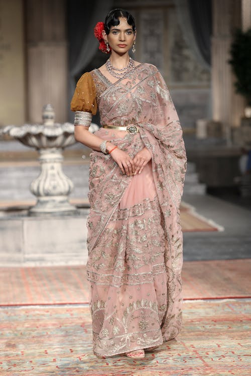 A Woman in Pink and Gray Saree Dress