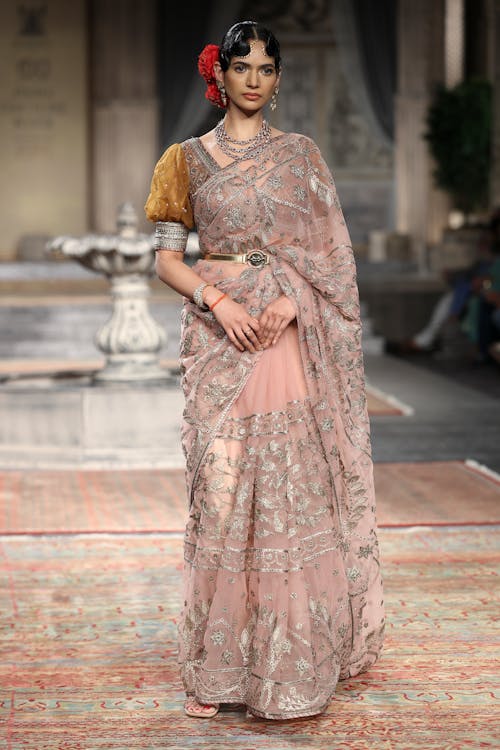 A Woman in Pink and Silver Saree Dress