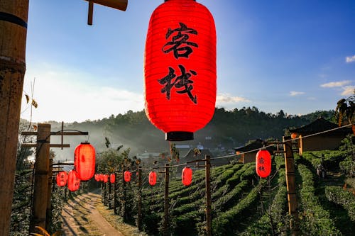 Free Traditional Japanese Lanterns Hanging on the Pathway with Morning Sun Stock Photo