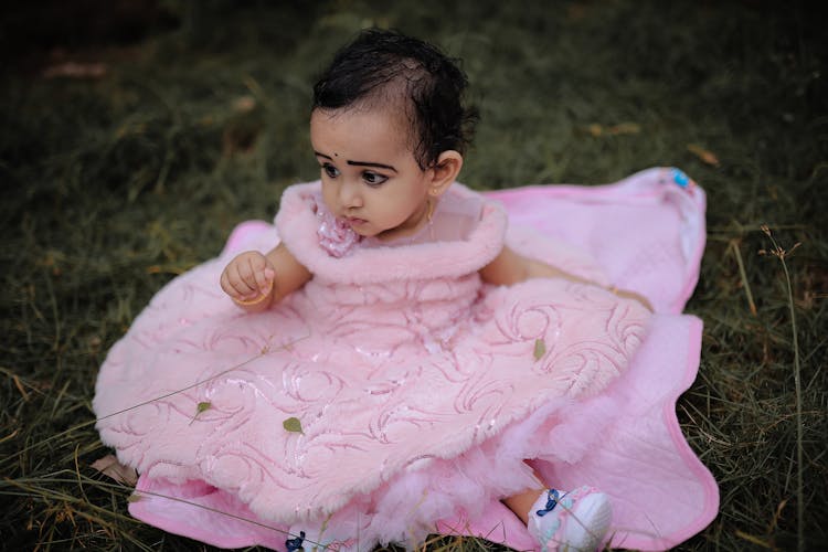 Baby In Pink Dress Sitting On Grass