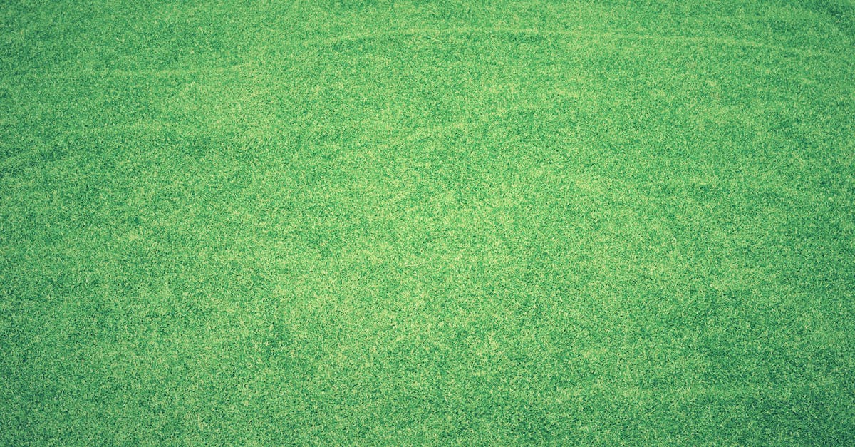 Bissell's carpet cleaner how to use big green