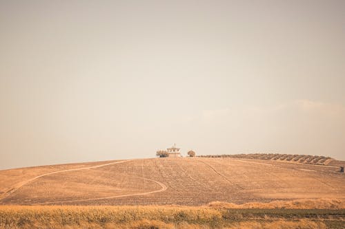 Foto d'estoc gratuïta de camp d'ordi, camp marró, camps de cultiu